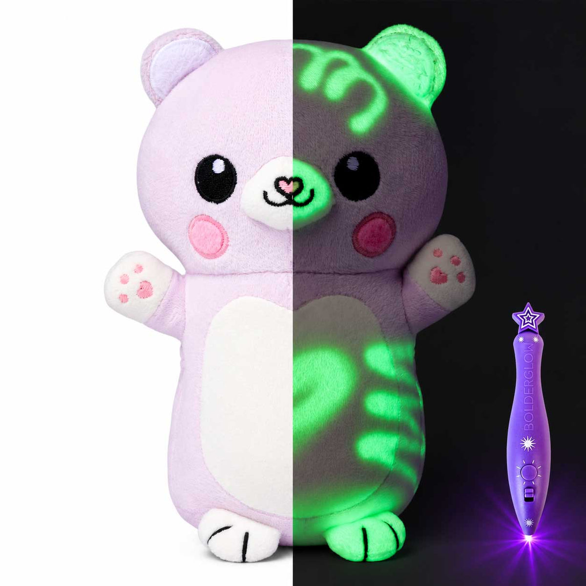 Bean the Bear